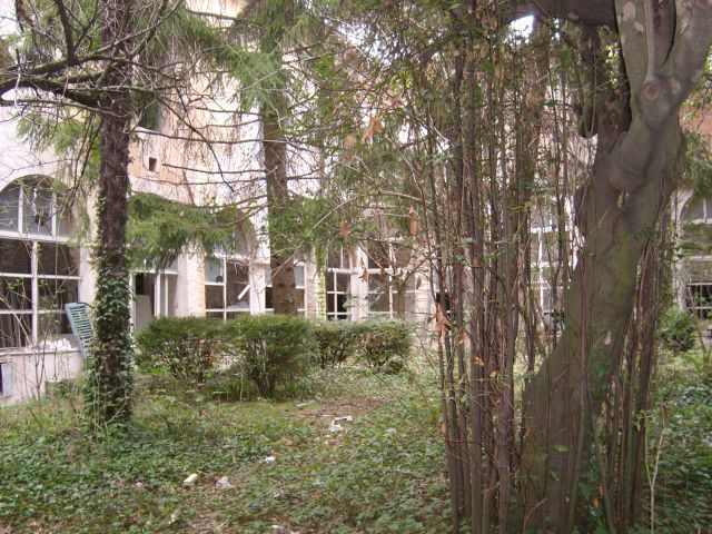 Giardino