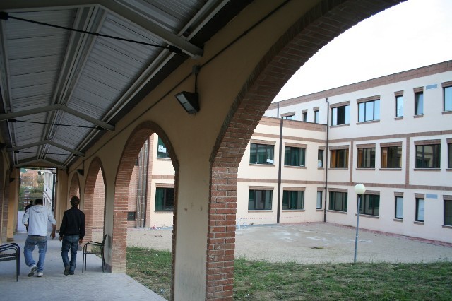 Maschile