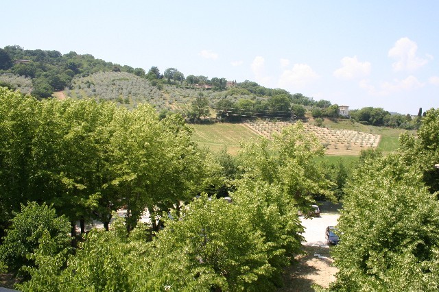 Paesaggio